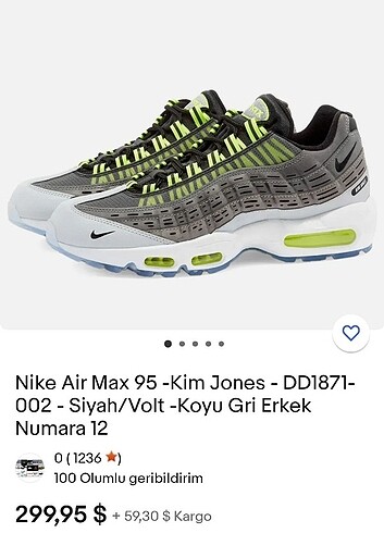 Nike Nike 45 Air Max 95