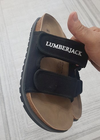 Lumberjack 41