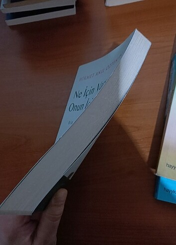 Hikmet Anıl Öztekin-Eyvallah-Fesleğen-Ne İçin Varsan Onun İçin Y - Görsel 2