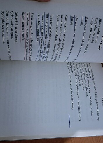 Hikmet Anıl Öztekin-Eyvallah-Fesleğen-Ne İçin Varsan Onun İçin Y - Görsel 11