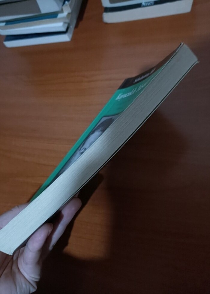 Sabahattin Ali-Kuyucaklı Yusuf-Kürk Mantolu Madonna-Sırça Köşk - Görsel 3