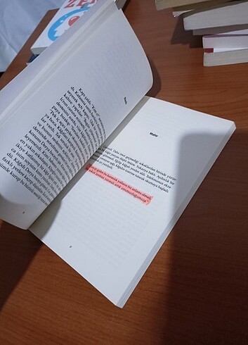 Galatada iki yabancı bektaş şenel - Görsel 6