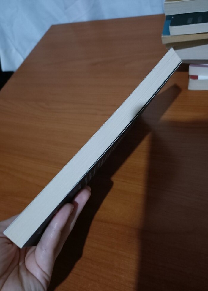 Hayal Terbiyecisi - Görsel 2