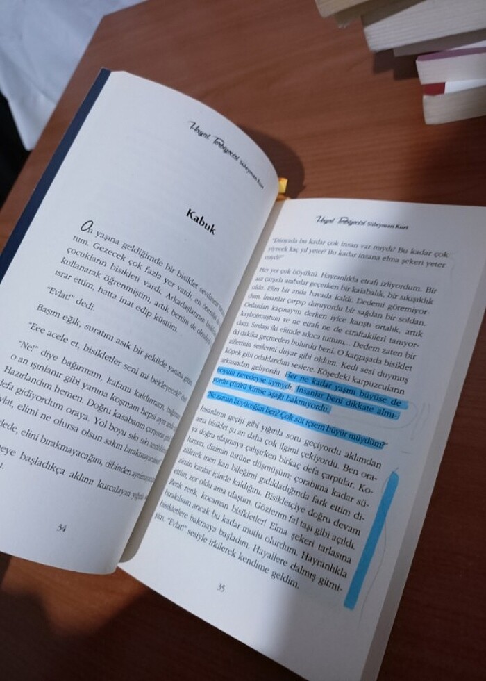 Hayal Terbiyecisi - Görsel 5