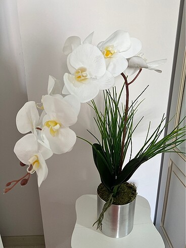  Beden Yapay orkide yeni