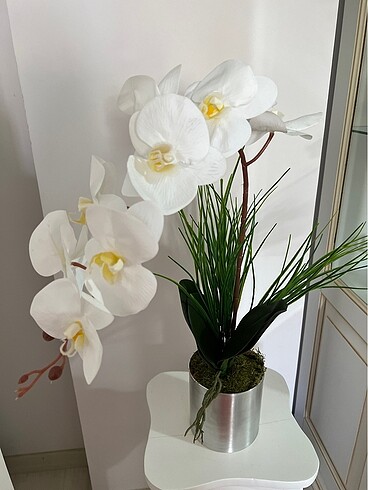  Beden beyaz Renk Yapay orkide yeni