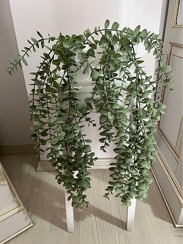Ikea İkili okaliptus