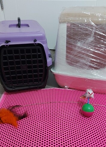 Kedi Tuvalet Kabı Taşıma Kabı ve Kum Paspası