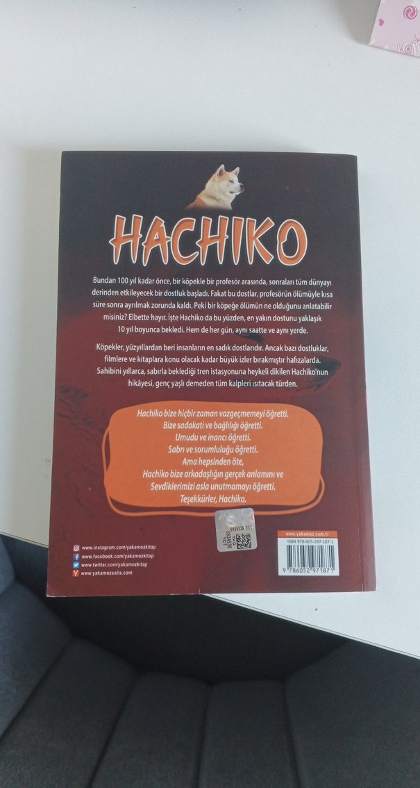 Hachiko - Görsel 3