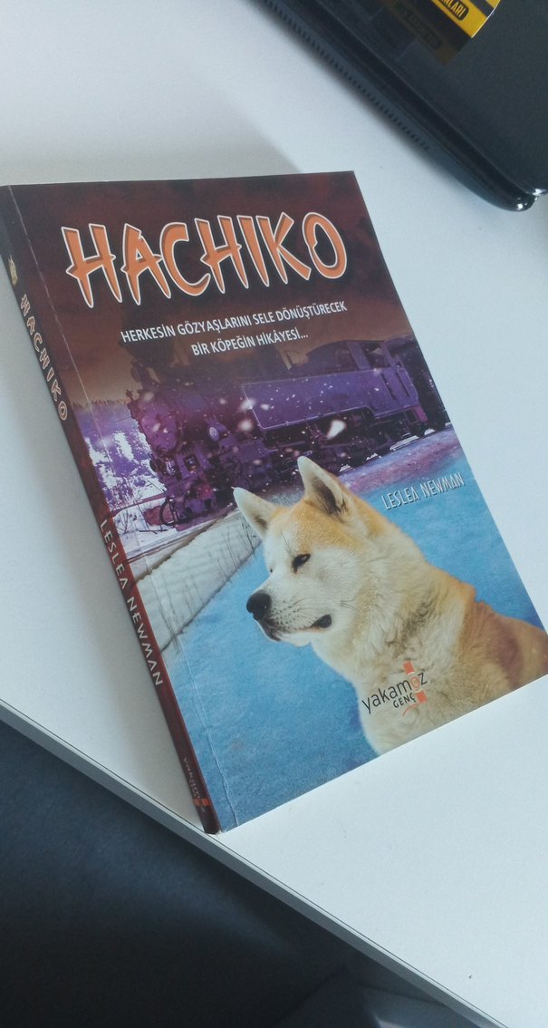 Hachiko - Görsel 2
