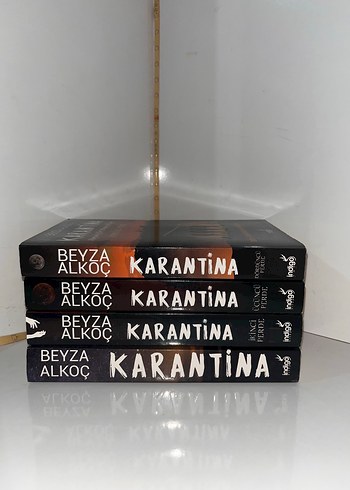 Beyza Alkoç - Karantina Romanı