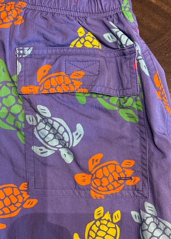 Renkli Kaplumbağa Desenli Erkek Mayo Şortu - Görsel 6