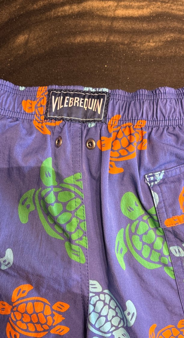 Renkli Kaplumbağa Desenli Erkek Mayo Şortu - Görsel 5