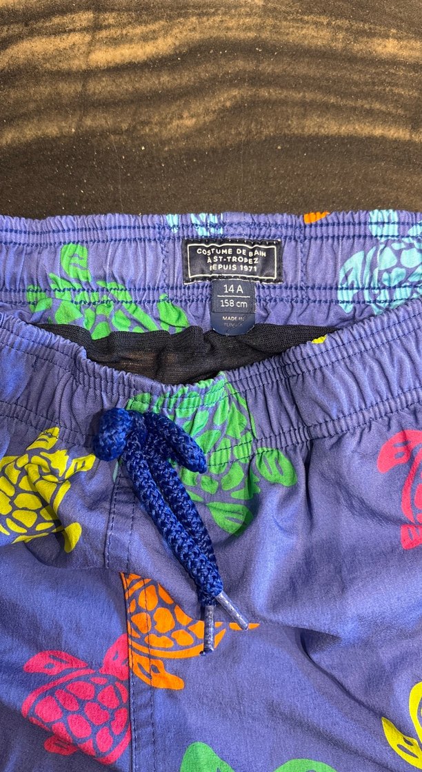 Renkli Kaplumbağa Desenli Erkek Mayo Şortu - Görsel 2