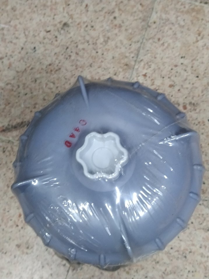 Beyaz havuz pompasi - Görsel 5