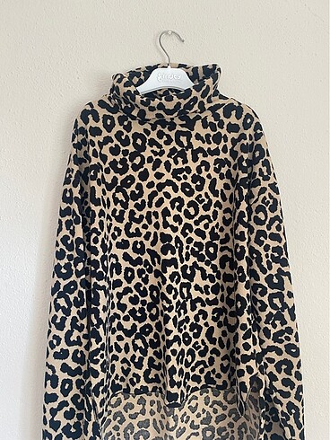 Kazak leopar