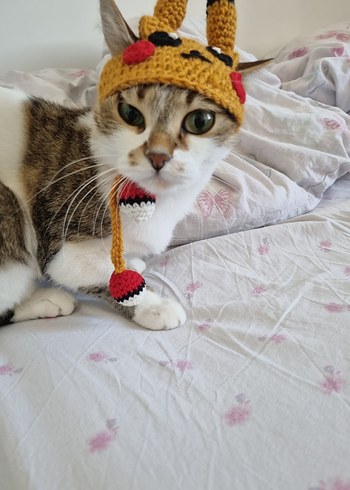 Beden Sarı Nakışlı Örgü Kedi Bere ve Atkı Seti