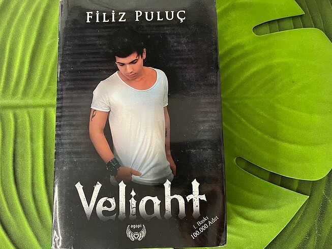 Veliaht - Kitap