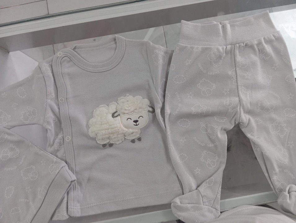 Gri Nakışlı Pamuklu Bebek Erkek Kıyafet Seti - Görsel 5