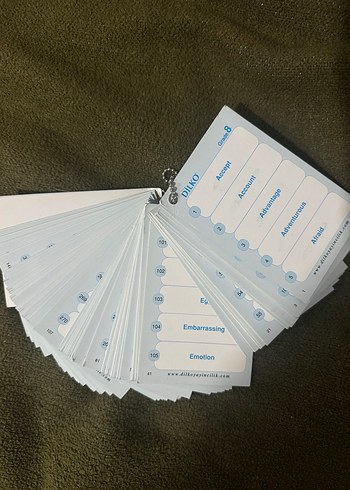 Dilko İngilizce 8. Sınıf Renkli Hafıza Kartı - Görsel 3