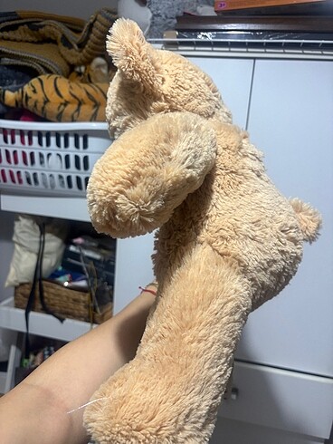 Diğer Pelus ayı