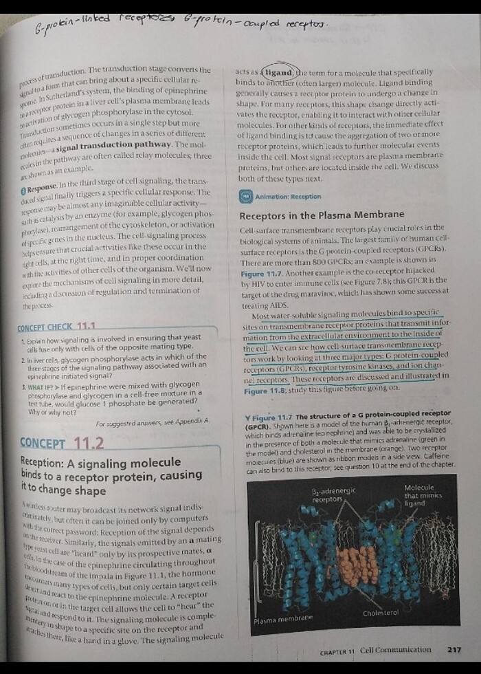 campbell biology - Görsel 3