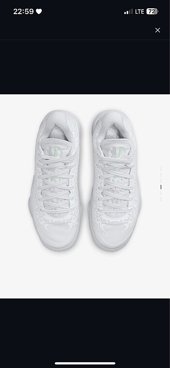 Nike jordon zion 3