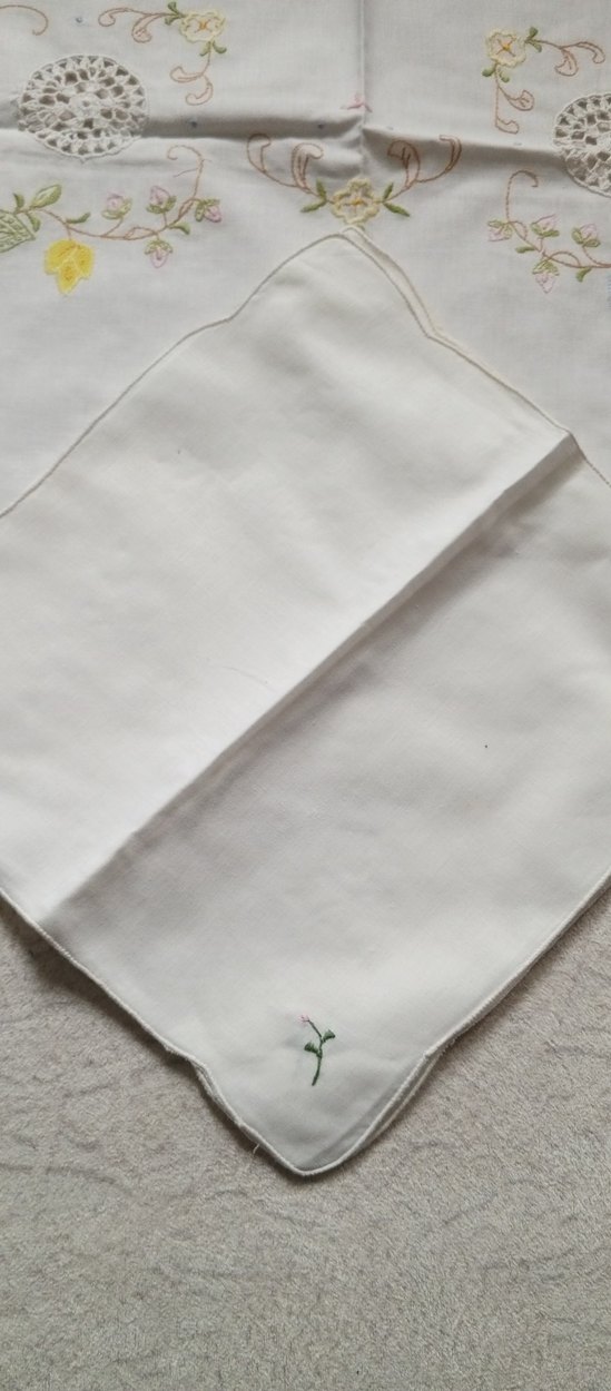 Nakışlı Beyaz Pastel Masa Örtüsü - Görsel 5