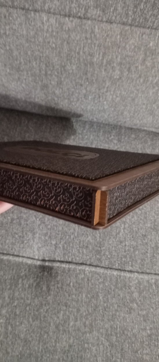 BOLÇi Kahverengi kutu - Görsel 5