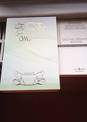 Safahat ve Diğer Edebiyat Kitapları Seti - Görsel 2