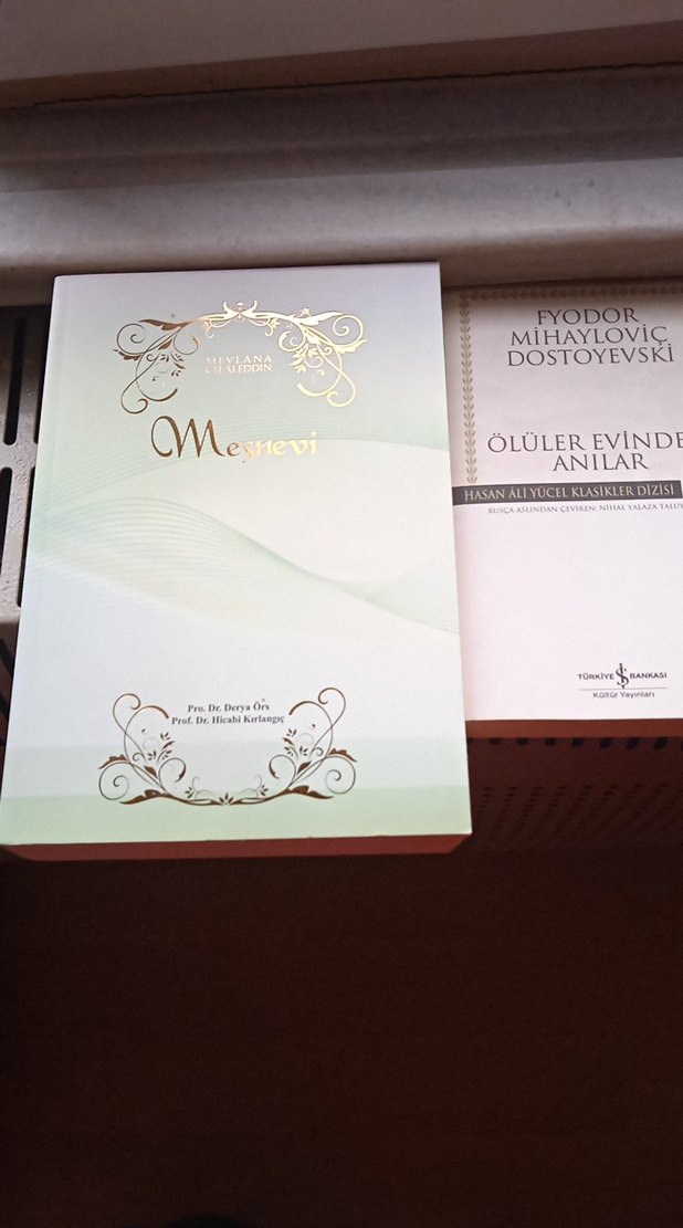 Safahat ve Diğer Edebiyat Kitapları Seti - Görsel 2