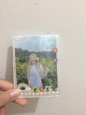 Rose Pc 2 adet