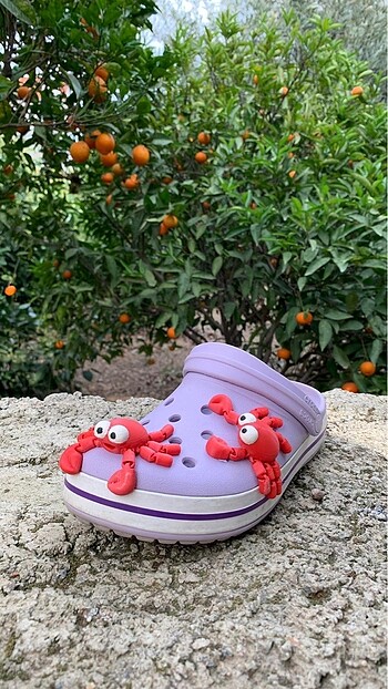 Crocs tokaları