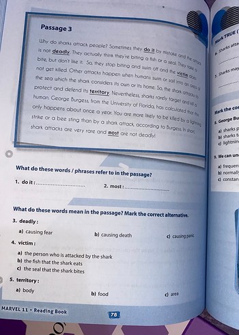 yds marvel grade 11 - Görsel 11