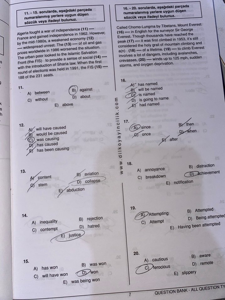 Dilko Winner 12.8 Soru Bankası - Görsel 4