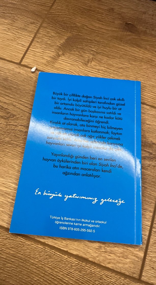 Siyah İnci - Anna Sewell - Görsel 2