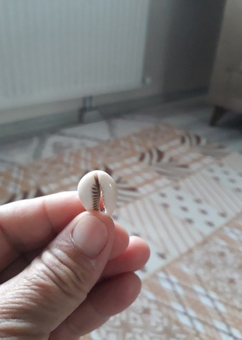 Pandora Deniz Kabugu Kupe Siklik Ve Dogallik Bir Arada