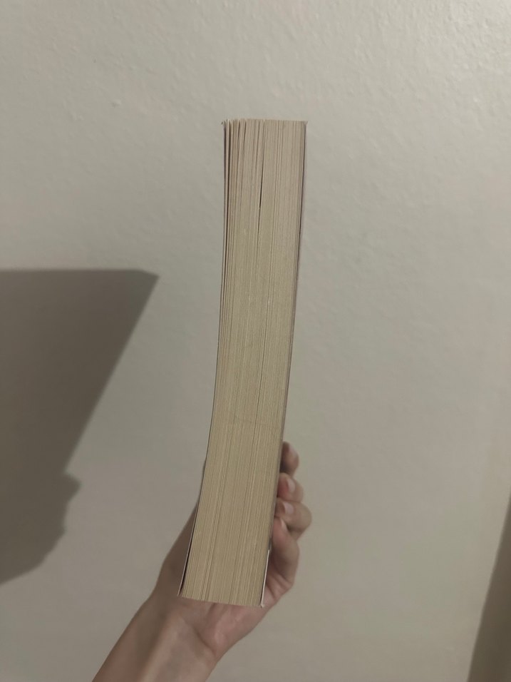 Emily Brontë - Uğultulu Tepeler - Görsel 4