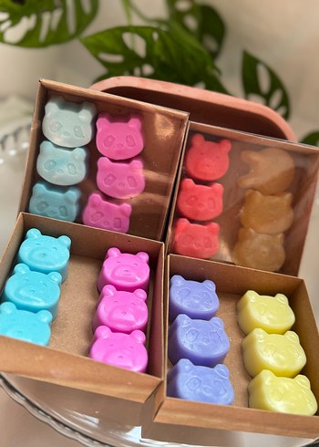 Renkli Ayı Figürlü set