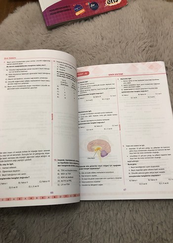 Karekök AYT Biyoloji Soru Bankası