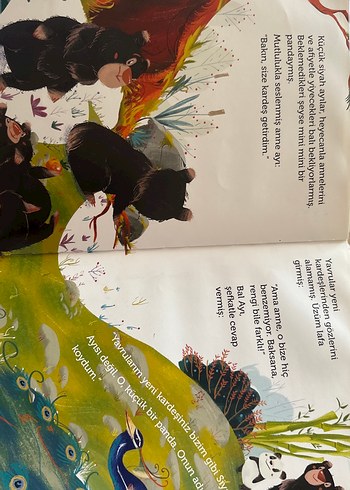 Kartopu Panda - Görsel 2