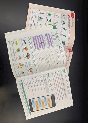 ENG FOR EVERYONE Seviye 3 Kurs Kitabı - Görsel 5