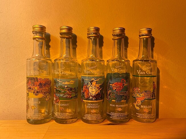 Van Gogh 5'li Votka Şişesi