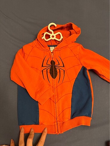Lcw spider