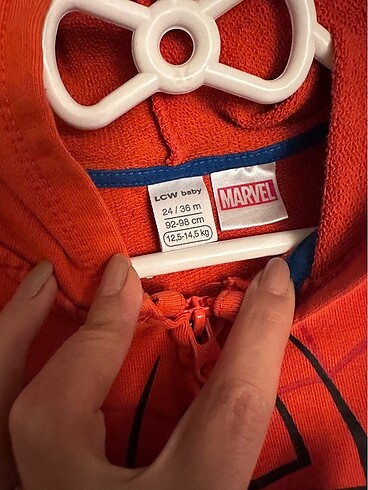 LC Waikiki Lcw spider