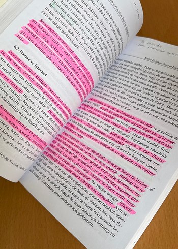 Maliye Politikası Teori ve Uygulama Kitabı - Görsel 4