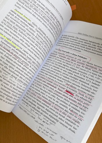 Maliye Politikası Teori ve Uygulama Kitabı - Görsel 2