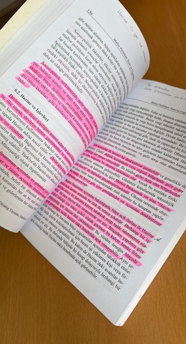 Maliye Politikası Teori ve Uygulama Kitabı - Görsel 4