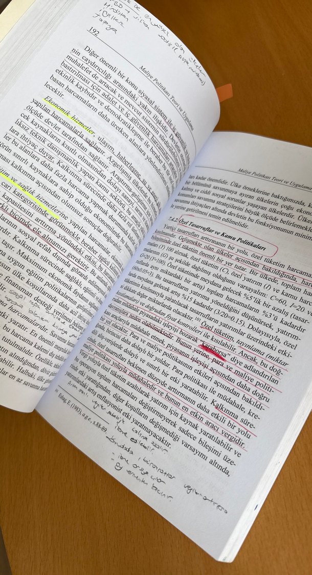 Maliye Politikası Teori ve Uygulama Kitabı - Görsel 2