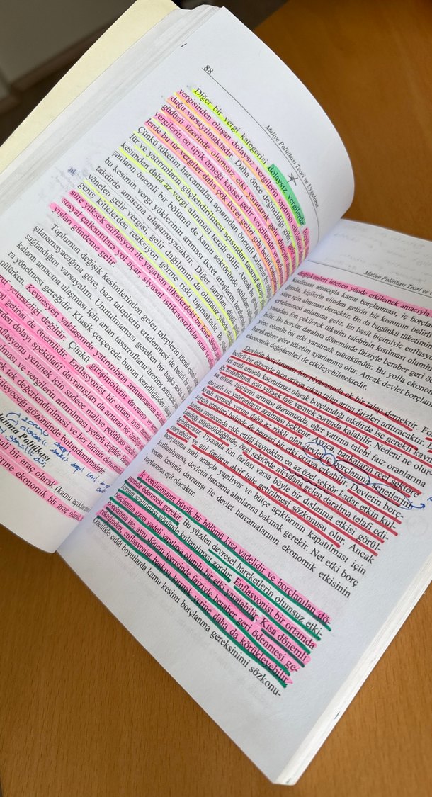 Maliye Politikası Teori ve Uygulama Kitabı - Görsel 5